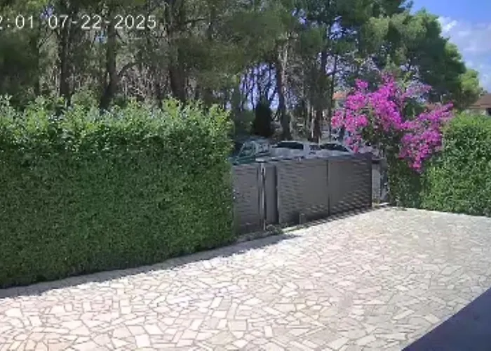 Paradise 홈스테이